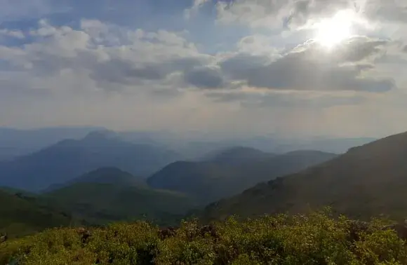 2N3D Nature’s Enigma