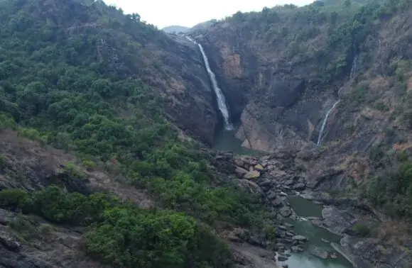 2N3D Nature’s Enigma (NA)